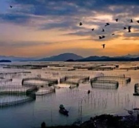 清远伴游中国网景点丰富(旅游网介绍)