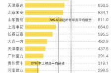 清远关于伴游小丽中国足球的信息