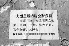 清远珠海伴游雇用网(珠海游览社雇用信息)