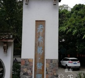 清远关于伴游中国伴游你们伴得是什么游的信息