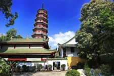 清远广州自由行(广州 自由行)