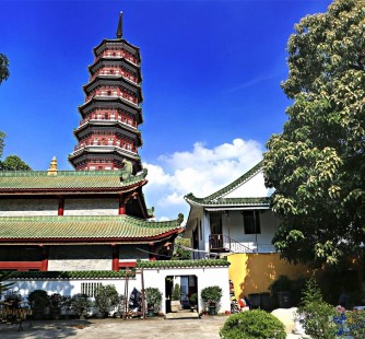 清远广州自由行(广州 自由行)