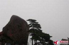 清远上海伴游私家陪游雇用女模(上海伴游私家陪游雇用女模特)
