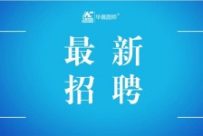 清远镇江伴游雇用驾驶员(镇江驾驶员雇用苍生网)
