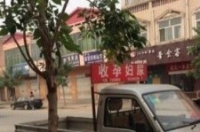 清远上海伴游 用伴游造句大全(5