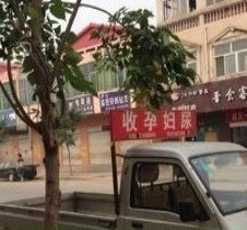清远上海伴游 用伴游造句大全(5