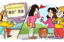 清远伴游是什么
