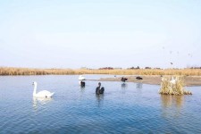清远南昌附近伴游小妹兼职(1534939978姐的微信德惠市)