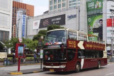 清远上海私人伴游 上海过年怎么玩？这些“微游”线路了解下→