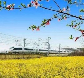 清远高铁游(高铁游戏下载手机版)