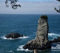 清远旅游全攻略(上海旅游全攻略)