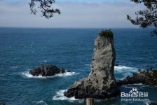 清远旅游全攻略(上海旅游全攻略)