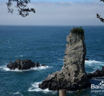 清远旅游全攻略(上海旅游全攻略)