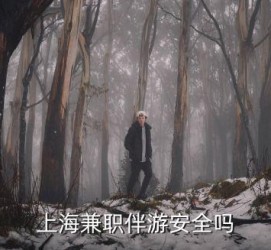 清远上海私人伴游 上海伴游，上海兼职伴游安全吗