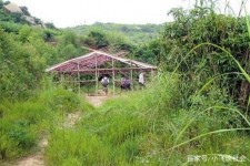 清远北海伴游兼职雇用信息(北海伴游兼职雇用信息大全)