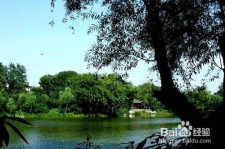 清远西湖旅游攻略(上海到杭州西湖旅游攻略)