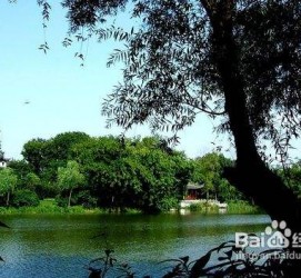 清远西湖旅游攻略(上海到杭州西湖旅游攻略)