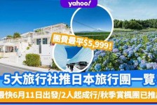 清远旅游价格(旅游价格机制)