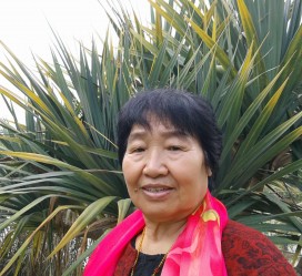 清远白叟带老伴游半个中国(白叟外出旅游)