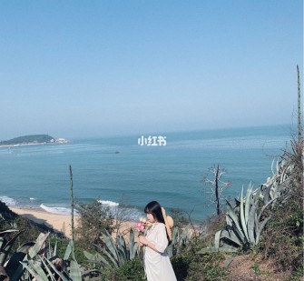 清远厦门周边游(厦门及周边旅游攻略)