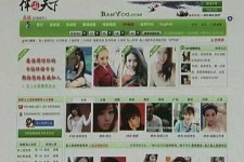 清远home伴游中国(zarahome乳胶枕)