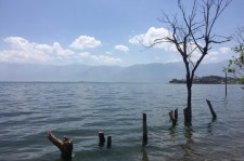 清远洱海旅游攻略(洱海旅游攻略自由行)