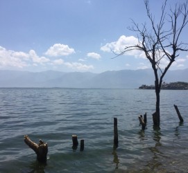 清远洱海旅游攻略(洱海旅游攻略自由行)