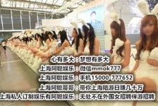 清远雇用旅游男伴游(北京商务酒店雇用伴游)