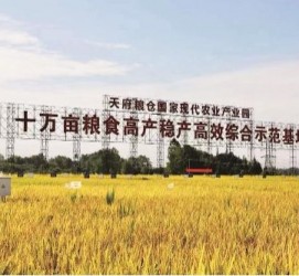 清远关于成都商务伴游外围雇用的信息
