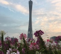 清远广州旅游攻略(杭州到广州旅游攻略)