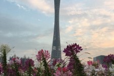 清远广州旅游攻略(杭州到广州旅游攻略)
