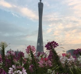清远广州旅游攻略(杭州到广州旅游攻略)