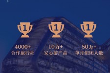清远上海私人伴游 ​ “小而美”的新时代：2020年国内新跟团消费报告