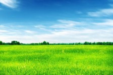 清远上海伴游 上海模特伴游微信号的交友宣言