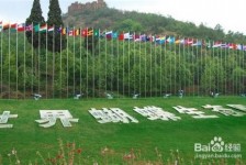 清远昆明旅游攻略(昆明旅游攻略景点大全抚仙湖)