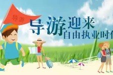 清远私人伴游 “网约导游”到底是正流行 还是不热闹