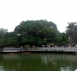 清远福州旅游攻略(福州旅游攻略二日游)