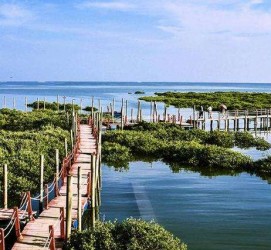 清远旅游哪里好玩(云南旅游哪里好玩)