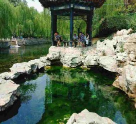 清远济南旅游攻略(青岛威海济南旅游攻略)