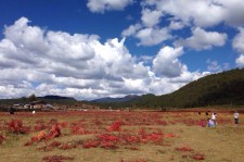清远旅游去处(暑期最好的旅游去处)