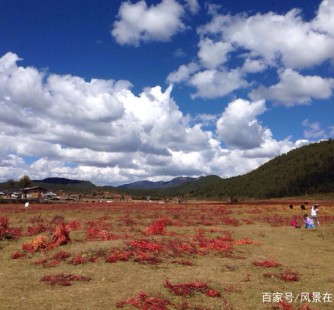 清远旅游去处(暑期最好的旅游去处)