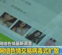 清远上海伴游 伴游女郎白天陪玩晚上陪睡 网络跑火日薪过万(图)