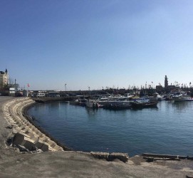 清远大连旅游攻略(大连旅游攻略自由行)